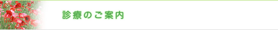 診療のご案内